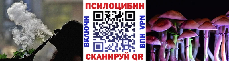 ссылка на мегу онион  Чкаловск  Галлюциногенные грибы мицелий 